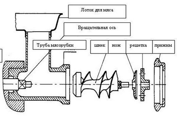 Masina de tocat carne: diagrama dispozitivului, cum sa alegi o masina de tocat carne si ordinea de prelucrare dupa utilizare