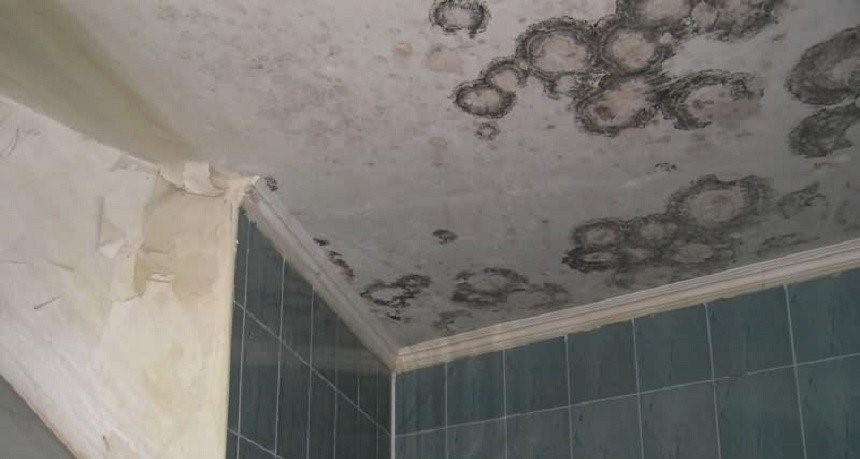 Instalarea și selectarea unui ventilator pentru baie și toaletă