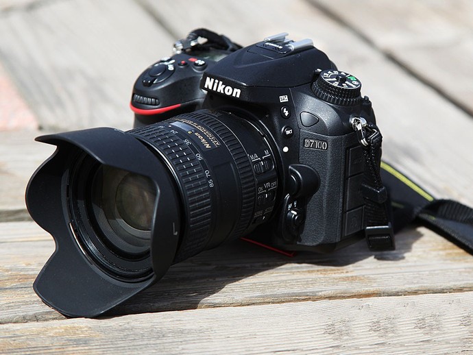 Nikon vai kanons: kura spoguļkamera ir labāka un kā izdarīt izvēli?