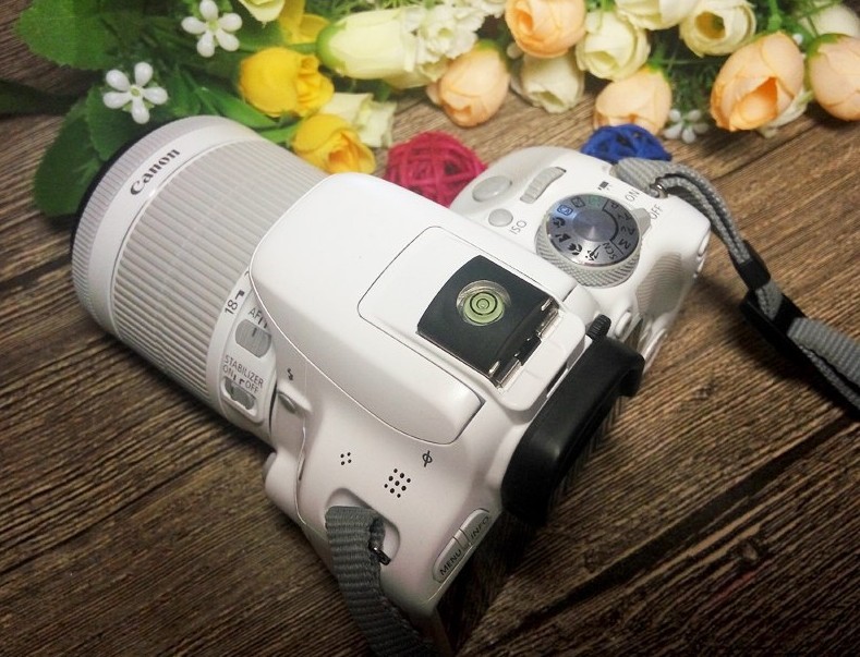 Kas ir labāks Canon vai nikon fotokamera?