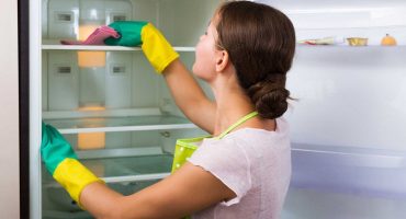 Reguli de decongelare pentru diferite frigidere